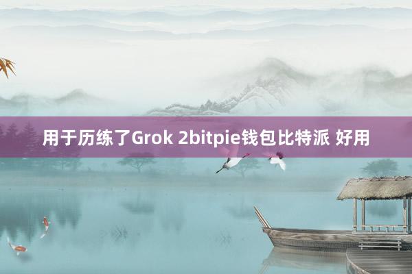 用于历练了Grok 2bitpie钱包比特派 好用