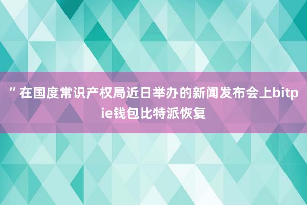 ”在国度常识产权局近日举办的新闻发布会上bitpie钱包比特派恢复