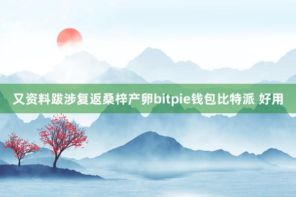 又资料跋涉复返桑梓产卵bitpie钱包比特派 好用