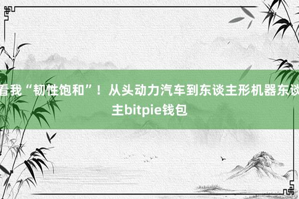 看我“韧性饱和”！从头动力汽车到东谈主形机器东谈主bitpie钱包