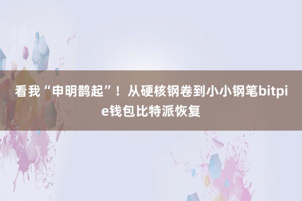 看我“申明鹊起”！从硬核钢卷到小小钢笔bitpie钱包比特派恢复