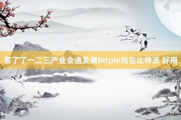 罢了了一二三产业会通发展bitpie钱包比特派 好用