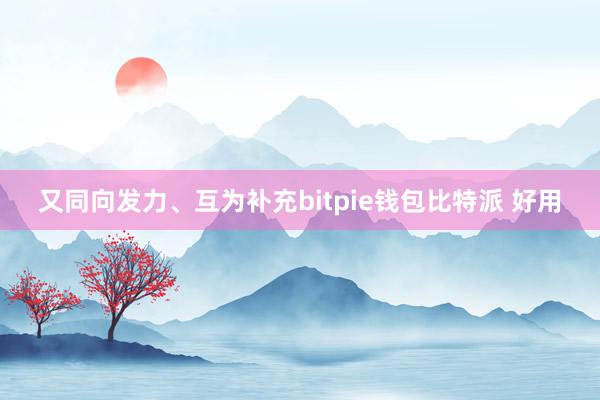 又同向发力、互为补充bitpie钱包比特派 好用