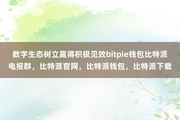 数字生态树立赢得积极见效bitpie钱包比特派电报群，比特派官网，比特派钱包，比特派下载