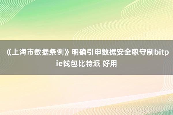 《上海市数据条例》明确引申数据安全职守制bitpie钱包比特派 好用