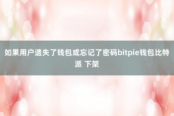 如果用户遗失了钱包或忘记了密码bitpie钱包比特派 下架