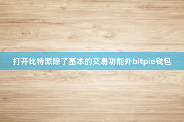 打开比特派除了基本的交易功能外bitpie钱包