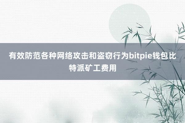 有效防范各种网络攻击和盗窃行为bitpie钱包比特派矿工费用