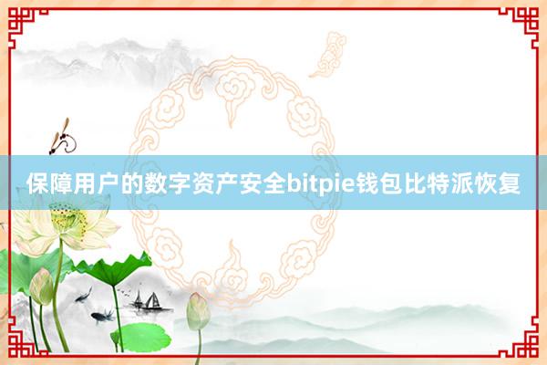 保障用户的数字资产安全bitpie钱包比特派恢复