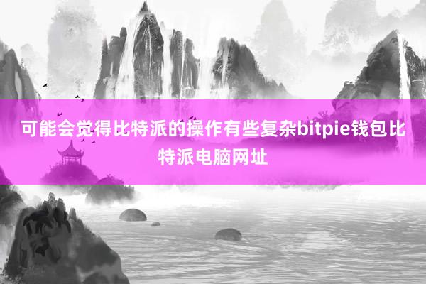 可能会觉得比特派的操作有些复杂bitpie钱包比特派电脑网址