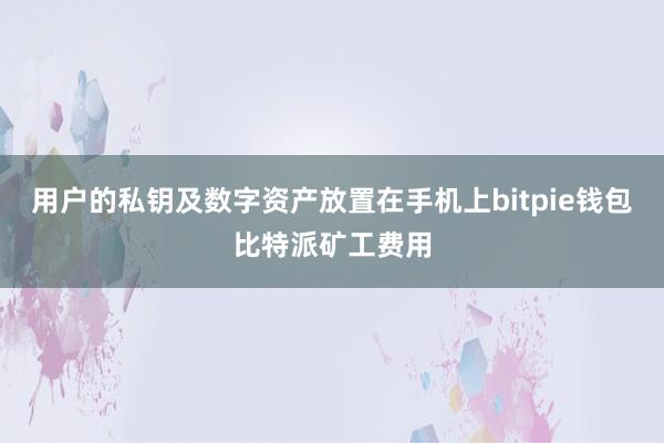 用户的私钥及数字资产放置在手机上bitpie钱包比特派矿工费用