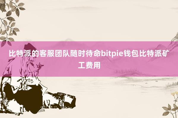 比特派的客服团队随时待命bitpie钱包比特派矿工费用