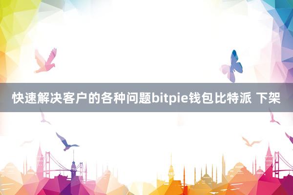 快速解决客户的各种问题bitpie钱包比特派 下架