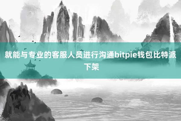 就能与专业的客服人员进行沟通bitpie钱包比特派 下架