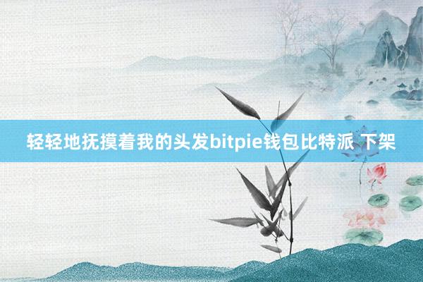 轻轻地抚摸着我的头发bitpie钱包比特派 下架