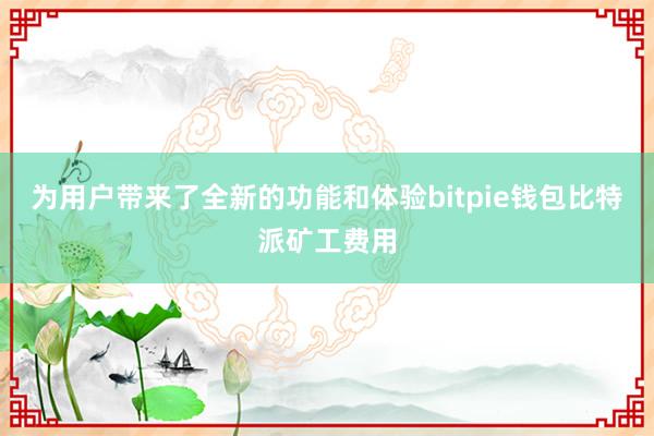 为用户带来了全新的功能和体验bitpie钱包比特派矿工费用