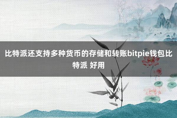 比特派还支持多种货币的存储和转账bitpie钱包比特派 好用