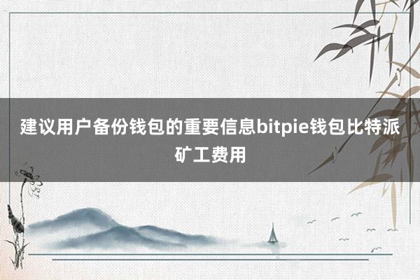 建议用户备份钱包的重要信息bitpie钱包比特派矿工费用