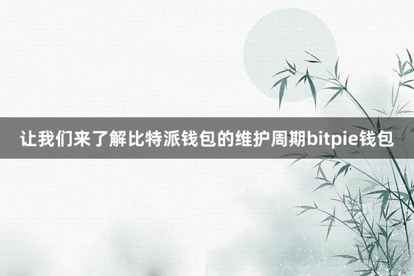 让我们来了解比特派钱包的维护周期bitpie钱包