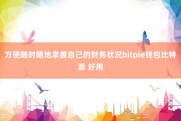 方便随时随地掌握自己的财务状况bitpie钱包比特派 好用