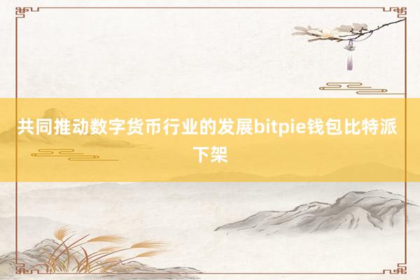 共同推动数字货币行业的发展bitpie钱包比特派 下架