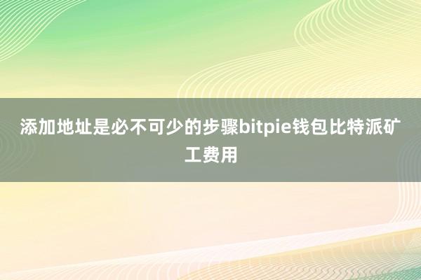 添加地址是必不可少的步骤bitpie钱包比特派矿工费用