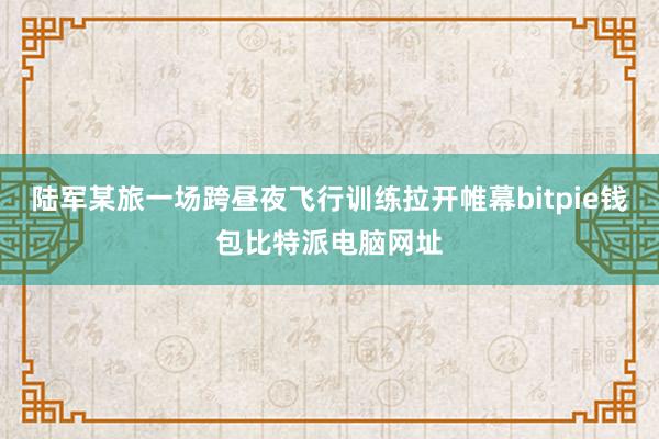 陆军某旅一场跨昼夜飞行训练拉开帷幕bitpie钱包比特派电脑网址