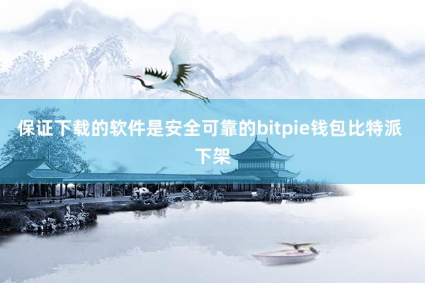 保证下载的软件是安全可靠的bitpie钱包比特派 下架