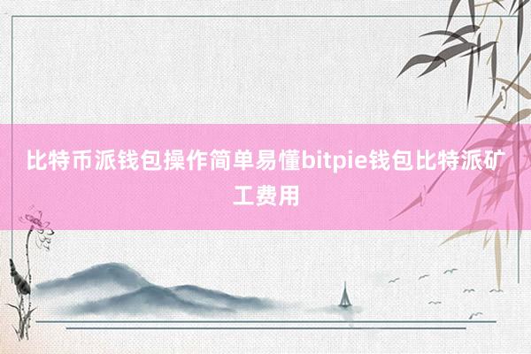 比特币派钱包操作简单易懂bitpie钱包比特派矿工费用