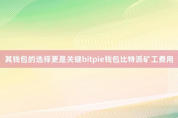 其钱包的选择更是关键bitpie钱包比特派矿工费用