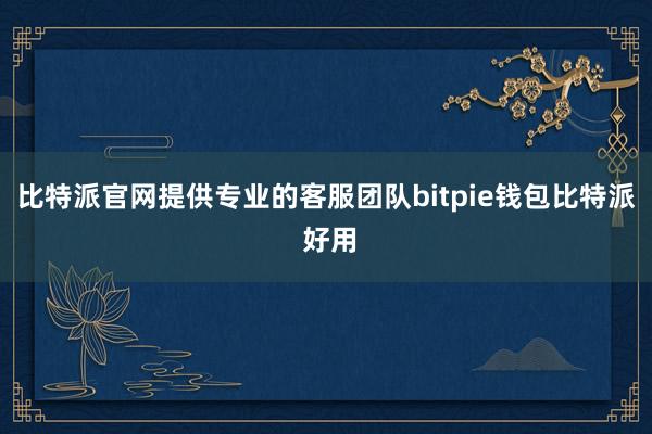 比特派官网提供专业的客服团队bitpie钱包比特派 好用