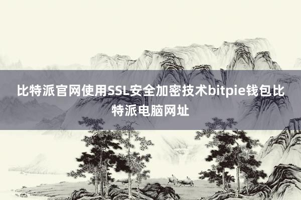 比特派官网使用SSL安全加密技术bitpie钱包比特派电脑网址