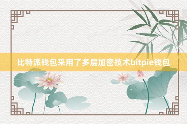 比特派钱包采用了多层加密技术bitpie钱包