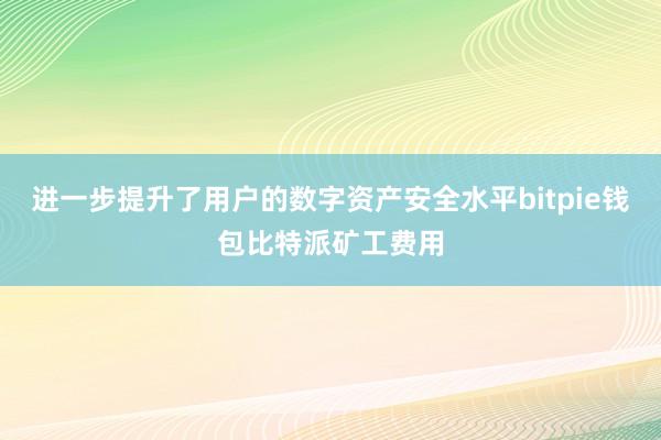 进一步提升了用户的数字资产安全水平bitpie钱包比特派矿工费用