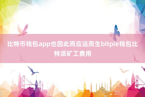 比特币钱包app也因此而应运而生bitpie钱包比特派矿工费用