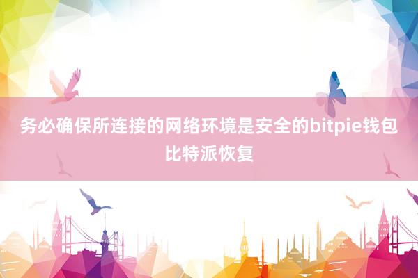 务必确保所连接的网络环境是安全的bitpie钱包比特派恢复