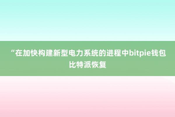 “在加快构建新型电力系统的进程中bitpie钱包比特派恢复