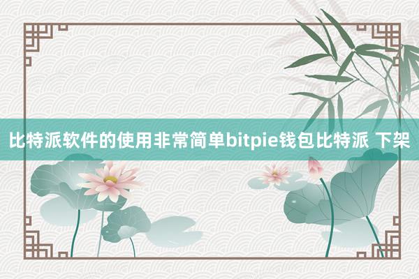 比特派软件的使用非常简单bitpie钱包比特派 下架