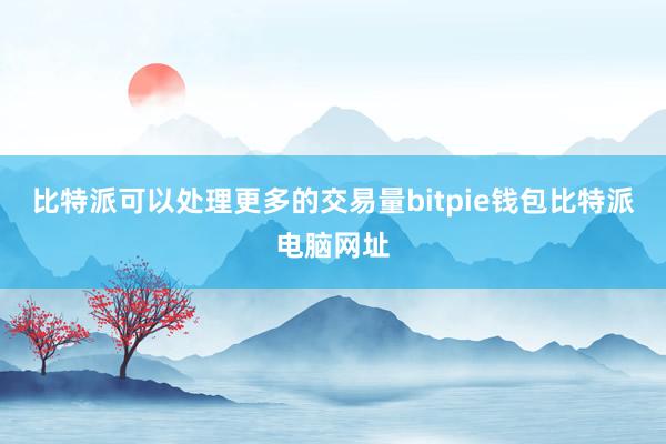 比特派可以处理更多的交易量bitpie钱包比特派电脑网址