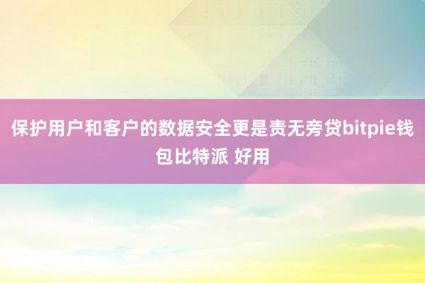 保护用户和客户的数据安全更是责无旁贷bitpie钱包比特派 好用