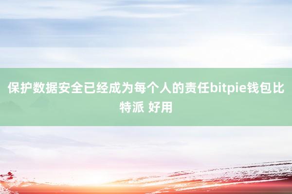 保护数据安全已经成为每个人的责任bitpie钱包比特派 好用