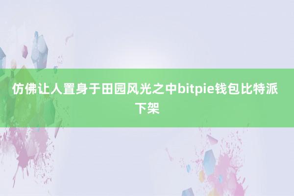 仿佛让人置身于田园风光之中bitpie钱包比特派 下架