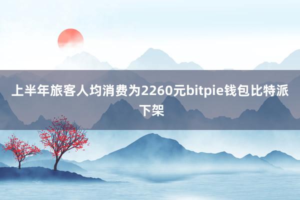 上半年旅客人均消费为2260元bitpie钱包比特派 下架