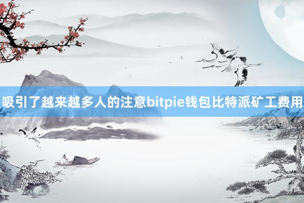 吸引了越来越多人的注意bitpie钱包比特派矿工费用