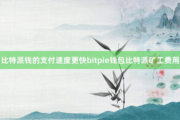 比特派钱的支付速度更快bitpie钱包比特派矿工费用