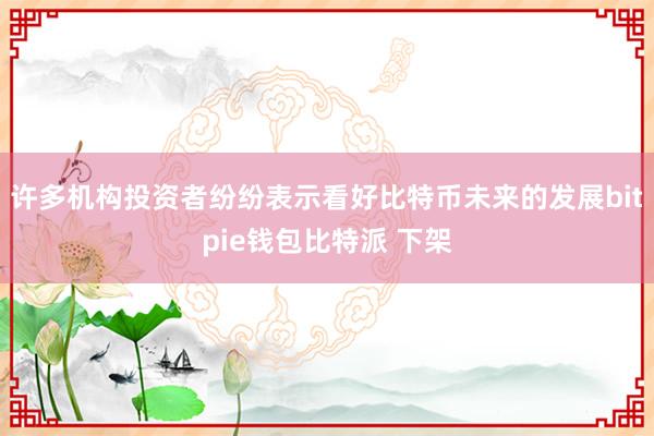 许多机构投资者纷纷表示看好比特币未来的发展bitpie钱包比特派 下架