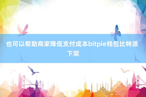 也可以帮助商家降低支付成本bitpie钱包比特派 下架