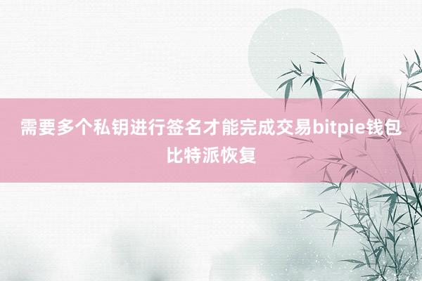 需要多个私钥进行签名才能完成交易bitpie钱包比特派恢复