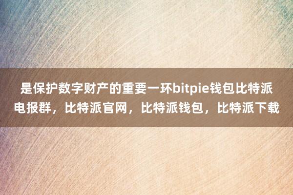 是保护数字财产的重要一环bitpie钱包比特派电报群，比特派官网，比特派钱包，比特派下载