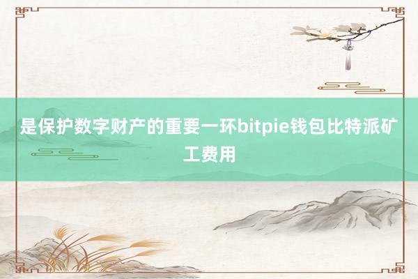 是保护数字财产的重要一环bitpie钱包比特派矿工费用